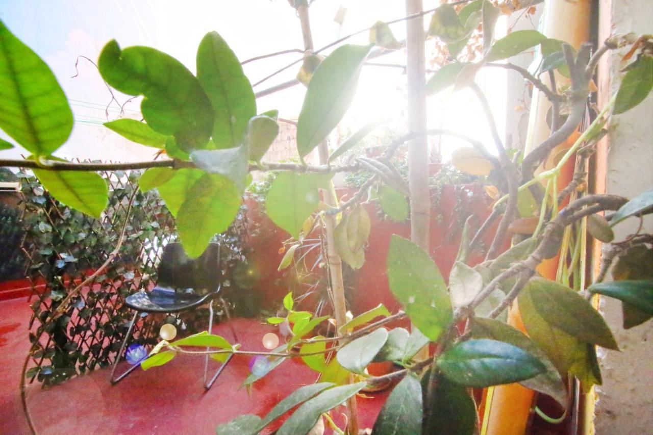 Mahalo Healthy House 라스팔마스 외부 사진